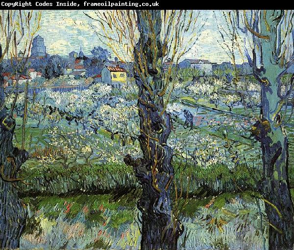 Vincent Van Gogh Orchard in Bloom with Poplars